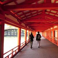 安芸の宮島・国宝厳島神社は目下改修中です・・