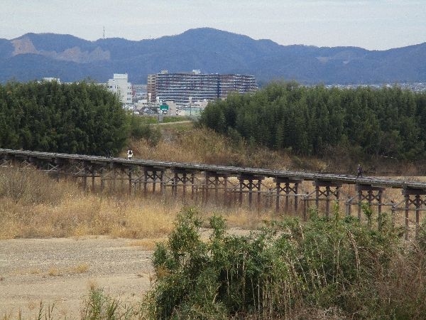 コロナ感染が拡大する中、天気も良いので懸案の「流れ橋」探訪に出かける。<br />淀川三川を越え、木津川沿いのサイクリングロードを上り、日本最長の木造橋を観ることができ、四万十川の沈下橋とは<br />違った重厚な趣を堪能した。<br /><br />　http://ks5224.fc2web.com/hy00hp/hy-58.html<br />　<br />　