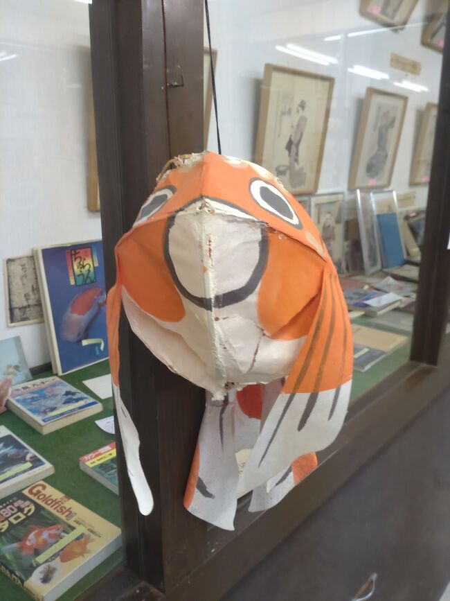 大和郡山市は奈良県の北部に位置しており、金魚の名産地として全国的に有名な都市です。市名については、大和の国であることを強調して福島県郡山市と区別するために大和郡山市と定められました。(Wikipedia参照)<br />最後になりますが、私の旅行記を見て大和郡山市に行きたい及び大和郡山市の旅行の参考となれば幸いです。大和郡山市の旅行が皆様にとって忘れられない思い出になります事を心よりお祈り申し上げます。
