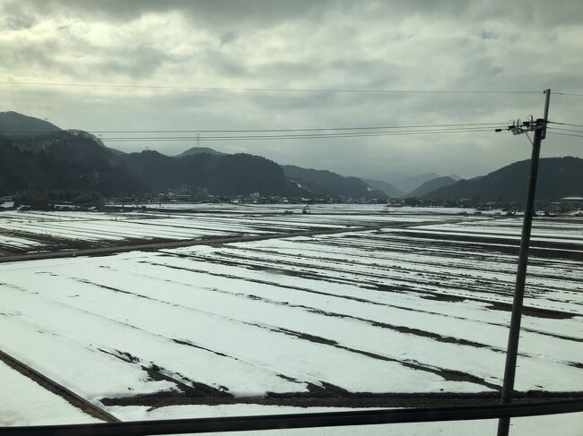 1月28日から2泊、京都に仕事関係で来ました。もちろん感染予防体制。でも、いつものようにそれなりに楽しみました。
