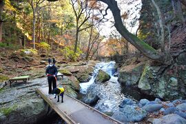 お犬様と行く、ペットフレンドリー那須 - 後編