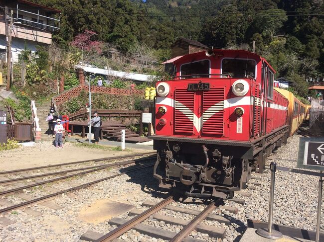 阿里山②です