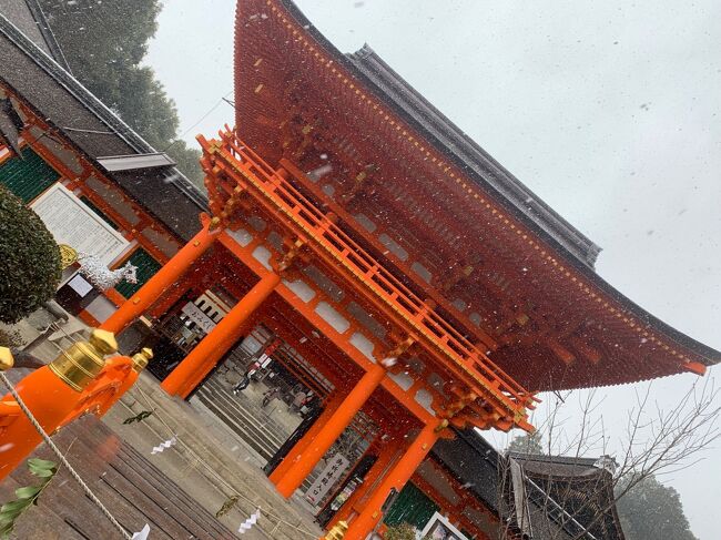 機会があったので7泊8日で京都、大阪、奈良旅行へ行ってきました！<br /><br />大好きな京都を満喫できる旅行をすることができました。<br />去年は京都へ行くことができなかったのでその分も楽しめるよう、<br />「京の冬の旅」のキャンペーンに合わせて行ってみました。<br />せっかくなので隣県の大阪と奈良にも足を延ばしてみました。