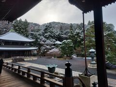 京都でジョギング　冬