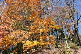 初冬の川口グリーンセンター　雅な紅葉♪　Vol.3