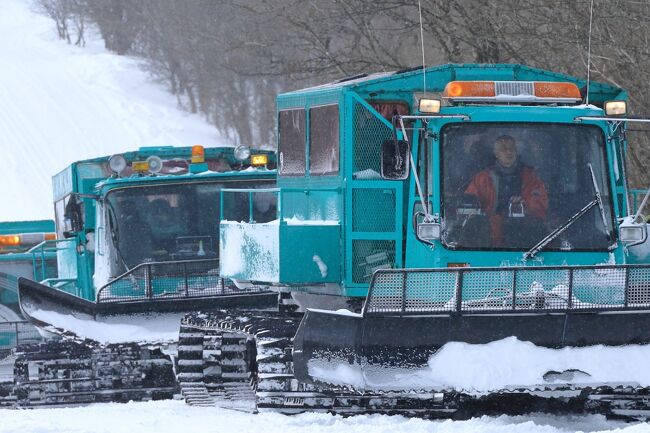 冬旅、宮城蔵王の樹氷。