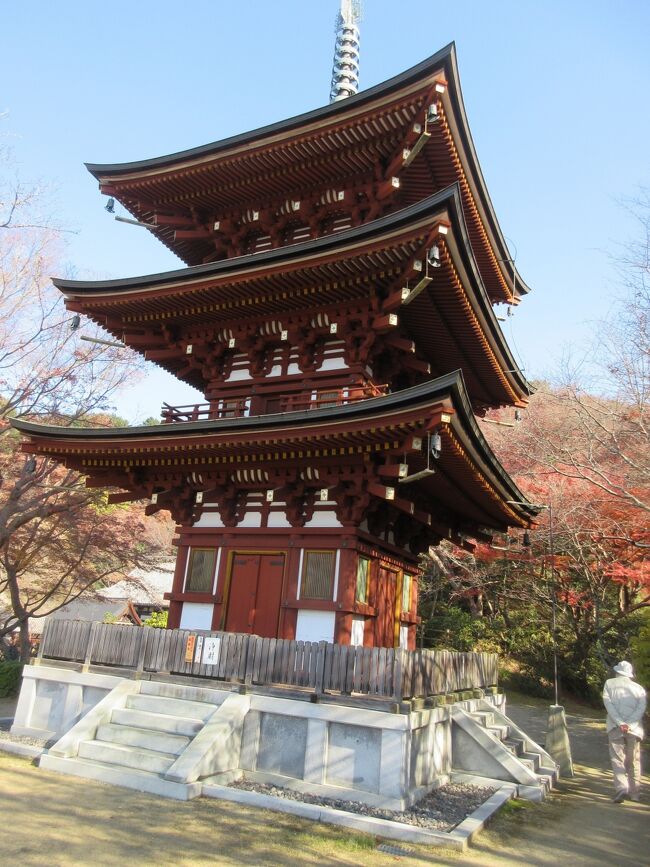 飛鳥巡りは今回が初めてではなくキトラ古墳、高松塚古墳、飛鳥寺、蘇我馬子の石舞台などはすでに訪れているのでまだ見残していた観音古刹・岡寺や文武・持統天皇陵にも参拝したいと思いました。<br />近鉄橿原神宮前駅から飛鳥駅まで走行している飛鳥史跡巡りの「亀バス」で途中下車すればいいので気軽に行けそうだと思っていました。<br />然し若い時と違って体力的にきつい山上の寺や辺鄙な場所にある御陵を造るという昔の人々の信仰心の厚さ、脚力の強さに感心させられる旅となりました。<br />