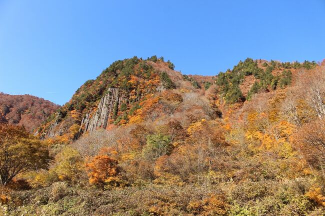 以前から少し気になっていましたが、秘境との声もある秋山郷の紅葉へ、今回ようやく行くことができました。<br />すでに奥の方が通行止めになっていたのですが、それなりに楽しむことができました。<br /><br />秋山郷では以下を回って<br />見玉公園、天池、切明温泉、布岩、苗場山ビューポイント、蛇淵の滝、前倉橋、見倉橋、石棚田、猿飛橋<br /><br />その後、時間があったので鍋倉高原（田茂木池、茶屋池）を通り、光ヶ原高原へ、向かいました。<br />