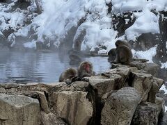 【密を避ける旅】青春18きっぷで行く湯田中温泉とスノーモンキーパークの旅（２日目）