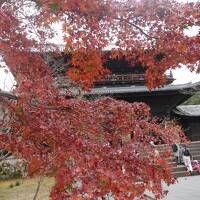 小学生女子も喜ぶ♪秋の京都～日本史探偵コナンの聖地巡り～