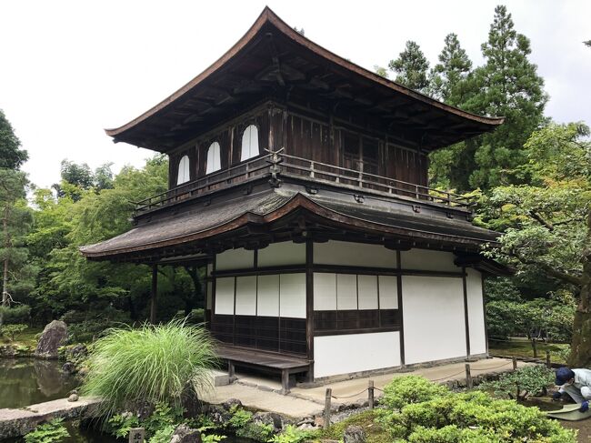 コロナ禍前までは、観光客が多く訪問する京都市内の中でも特に人が多いと感じた東山エリアですが、第一回の緊急事態宣言が解除されて時期が浅かった2020年7月はまだ京都を訪問する観光客は少なかったです。<br /><br />「中村楼」での昼食後、以下のスポットをまわりました。<br /><br />-　平安神宮<br />-　哲学の道<br />-　銀閣寺<br />-　リッツカールトン京都（外観のみ）<br />-　高瀬川