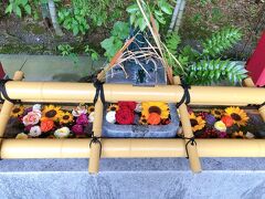 熊本駅近・北岡神社に良縁まいりと茅の輪くぐり