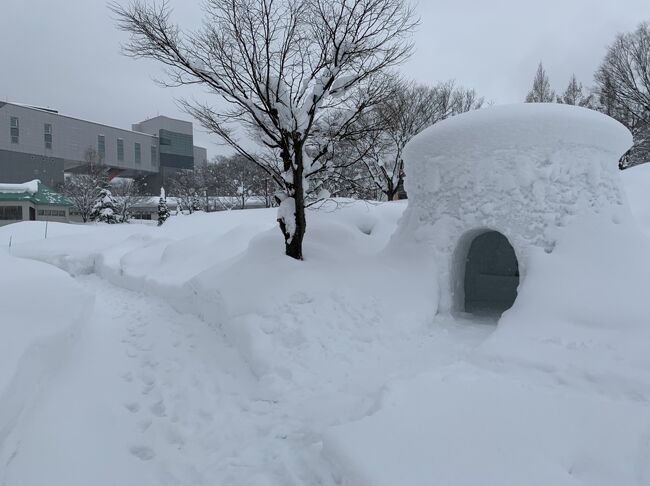 秋田の冬の伝統行事　かまくらは、コロナで中止となりました。<br />ただ、横手のふるさと村には、１月２９日から　秋田冬祭り絵馬と称して　かまくらが展示されています。