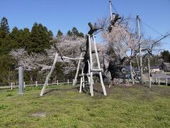 置賜桜回廊・その３（長井市～白鷹町）