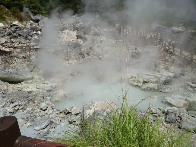 クラシックホテル巡りをしていますが、雲仙観光ホテル（３９室）は遠いので、やめておくつもりでした。しかし、岩合さんの世界猫歩きで雲仙地獄の猫ちゃんたちをみて、行くことにしました。<br />スタンダードプランの食事がつきます。<br /><br />