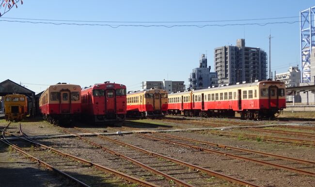 　房総を走る数少ない非電化路線小湊鉄道は、駅舎と車両も含めレトロテイストで最近特に人気が出てきているが、2020年春、その小湊鉄道にもとJR東日本のキハ40系気動車がやって来た。<br />　従来のキハ200型を徐々に置き換える目的でJRから購入したキハ40は2021年で5両となり、うち2両は整備のうえ、2021年秋から本格的に小湊鉄道線で営業運用につくようになった。<br />　千葉県内で、キハ40型が定期列車として走り出すのは実はこれが初めて。<br />　千葉の里山を走り始めたキハ40に乗車するため、晩秋に市原を訪れました。