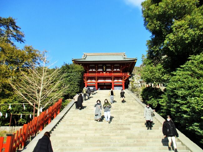 2月3日(木) 節分の日<br />ホントはこの日から2泊3日の予定で宮古島へ行くはずだったのに、オミクロン大流行で取りやめ。<br /><br />友人から鎌倉散歩しようよとlineでお誘い。<br />『鎌倉殿の13人』大河ドラマのゆかりの地で混んでいるのかな、とにかく行ってみようということになり、まず衣張山に登り、湘南の海と富士山の眺望を楽しんだ。<br /><br />衣張山への巡礼古道は、源頼朝や実朝が杉本寺、岩殿寺を参拝する際に通ったとされる道。<br />