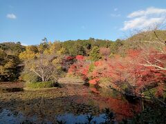 関西２０２１秋旅行記　【２２】龍安寺２