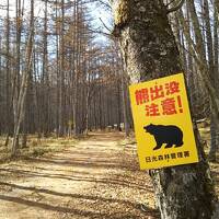 ふだん着の休日　作戦命令「クマ出没注意！の中に入って男体山を見る」・・－2021-2