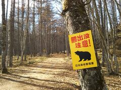 ふだん着の休日　作戦命令「クマ出没注意！の中に入って男体山を見る」・・－2021-2