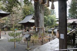 クリスマスの富士五湖旅♪　Vol.23 ☆北口本宮冨士浅間神社♪