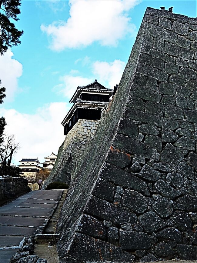松山城は、愛媛県松山市にあった日本の城。別名 金亀城、勝山城。<br />「伊予松山城」と呼ばれることもあるが、一般的に「松山城」は本城を指すことが多い。同じ現存12天守の一つ、岡山県高梁市にある備中松山城と比較すると、本城が優勢となっている。<br /><br />現在は、城跡の主要部分が公園として整備され、大天守（現存12天守の1つ）を含む21棟の現存建造物が国の重要文化財に、城郭遺構が国の史跡に指定されている。そのほか、連立式天守群の小天守以下5棟をはじめとする22棟（塀を含む）が木造で復元されている。<br />天守は江戸時代後期に再建されたもので、現存十二天守の中で最も新しい。<br /><br />松山市の中心部、勝山（城山）山頂に本丸、西南麓に二之丸と三之丸を構える平山城である。日本三大平山城にも数えられる。<br />山頂の本壇にある天守（大天守）は、日本の12箇所に現存する天守の一つである。この中では、姫路城と同じく、連立式で、日本三大連立式平山城の1つにも数えられる。1933年ごろまでは、本丸部分には40棟の建造物が現存していたが、1949年までに19棟が火災により失われ、現存建築は21棟にまで減少した。建造物の現存数は二条城（京都府）の28棟に次ぐものである。<br />幕末に再建された大天守ほか、日本で現存数の少ない望楼型二重櫓である野原櫓（騎馬櫓）や、深さ44メートルにおよぶ本丸の井戸などが保存されている。<br /><br />山頂に本丸、南西麓に二之丸、続いて三之丸。北麓には北曲輪、南東麓に東曲輪がある。三之丸は比高6メートルほどの土塁で囲み、北と東に石垣造の虎口を開く。本丸から二之丸にかけて登り石垣を築いて囲み、丘陵斜面からの大手城道への侵入を防ぐ構造としている。山頂の本丸北部には本壇という天守曲輪を持ち、大天守と小天守・南隅櫓・北隅櫓を3棟の渡櫓（廊下）で連結し連立式天守をなしている。松山城の中枢は二の丸で、藩主の生活の場である御殿や庭園、茶室などがあった。三の丸には身分の高い家来の屋敷が建ち並んでいた。本丸は主に倉庫として使われていた。<br /><br />1955年（昭和30年）にはロープウェイが、1966年（昭和41年）には平行してリフトがそれぞれ登城客の利便を図るため設置され、360度開けた大天守からの眺望のよさもあり、松山市を代表する観光地となっている。<br />1968年（昭和43年）1933年に焼失した本壇の建造物群を木造により復元。<br />1992年（平成4年）4月に、大井戸などの遺構や茶室が整備された松山城二之丸史跡庭園が落成。<br />2004年（平成16年）10月より行われていた大天守ほか6棟の改修工事は2006年（平成18年）11月末に終了。<br />2006年（平成18年）に、松山城山公園が日本の歴史公園100選に選定された。<br />2006年（平成18年）4月6日、日本100名城（81番）に選定された。<br />2019年（令和元年）9月10日、小天守など9棟が登録有形文化財に登録された。<br /><br />戸無門<br />高麗門の建築様式で、慶長の創建当初から門扉がないので戸無門（となしもん）の名がある。この門の手前にある太鼓櫓下の通路は、乾門方面（実は行止まり）と戸無門方面へ敵を分散させるため複雑な構造となっている。<br />隠門・隠門続櫓<br />櫓門となっている隠門（かくれもん）は、筒井門に達した敵の側背を襲うための埋門（うずみもん）となっている。隠門続櫓ともども小規模ながら、築城当時の面影を見ることができる。<br />乾櫓<br />古町口登城道が本丸に達する地点に設けられた、搦手（からめて：裏側）方面の防備のための2重の隅櫓である乾（いぬい）櫓は、窓は格子・突上げ構造で、腰袴式ではなく出窓式の石落としが設けられている。<br />野原櫓<br />「騎馬櫓」とも呼ばれる野原櫓は、西北の本丸石垣に面して建てられた二重櫓で、大入母屋屋根の中ほどに2間半の2階を載せており、望楼起源説による大屋根の上に造られた物見櫓から天守建築が始まったとする論拠となる構造で、石落とし・狭間など加藤嘉明の築城当時の仕様がほぼそのまま残る。<br /><br />天守（大天守）<br />創建当時には、現在、三重天守の建つ天守台に五重天守が建てられていたとされており、1642年に3重に改修している。それは、本壇がある標高132メートルの本丸広場の一部は谷を埋め立てているため地盤が弱かったからとも、武家諸法度の意を受けて、江戸幕府に配慮したためともいわれているが理由は不明である。その三重天守も1784年に落雷で本壇の主要建物とともに焼失し、現存する大天守は、黒船来航の前年である1852年に、石垣普請とともに再建工事が完了し、安政元年（1854年）落成した3代目の天守で、連立式3重3階地下1階構造の層塔型天守である。<br />大天守は高さ20メートル（鯱の高さを入れると21.3メートル）本壇は8.3メートルの高さがある。幕末に親藩大名松平（久松）家により復興されたものであるためか普請の精度は高く、建築材料には樟や欅また栂など一級と呼ばれる木材が使用されている。五重天守である福山城天守（9間×8間）をしのぐ規模の切込みハギの石積み天守台（8間×10間）の内側に、地下1階が造られ、3重3階の木造内部には、入側（武者走り）が各階に設けられており、その内側である身舎（もや）には天井を張り、鴨居と敷居で仕切られた畳床仕様で、かつ、床の間を設けている。<br />外部は1・2階に黒塗下見張り、塗籠角格子の窓には突上げ板戸などを配し、屋根には千鳥破風や軒唐破風が付れられ、また、3階は白漆喰塗りで、格子がない引戸窓の外には、格式を高める目的で実用でない外廻縁、高欄が付けられている。なお、鯱を含め屋根は瓦葺である。<br />日本における最後の天守建築（桃山文化様式）であり、現存12天守の中で、唯一、親藩（松平氏）による普請であったため、丸に三つ葉葵の瓦紋が付けられている。<br />（フリー百科事典『ウィキペディア（Wikipedia）』より引用）<br /><br />松山城　については・・<br />https://www.matsuyamajo.jp/　<br />