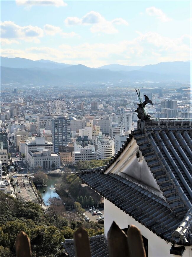 松山城は、愛媛県松山市にあった日本の城。別名 金亀城、勝山城。「伊予松山城」と呼ばれることもあるが、一般的に「松山城」は本城を指すことが多い。同じ現存12天守の一つ、岡山県高梁市にある備中松山城と比較すると、本城が優勢となっている。<br /><br />現在は、城跡の主要部分が公園として整備され、大天守（現存12天守の1つ）を含む21棟の現存建造物が国の重要文化財に、城郭遺構が国の史跡に指定されている。そのほか、連立式天守群の小天守以下5棟をはじめとする22棟（塀を含む）が木造で復元されている。<br />天守は江戸時代後期に再建されたもので、現存十二天守の中で最も新しい。<br /><br />松山市の中心部、勝山（城山）山頂に本丸、西南麓に二之丸と三之丸を構える平山城である。日本三大平山城にも数えられる。山頂の本壇にある天守（大天守）は、日本の12箇所に現存する天守の一つである。この中では、姫路城と同じく、連立式で、日本三大連立式平山城の1つにも数えられる。1933年ごろまでは、本丸部分には40棟の建造物が現存していたが、1949年までに19棟が火災により失われ、現存建築は21棟にまで減少した。建造物の現存数は二条城（京都府）の28棟に次ぐものである。<br /><br />幕末に再建された大天守ほか、日本で現存数の少ない望楼型二重櫓である野原櫓（騎馬櫓）や、深さ44メートルにおよぶ本丸の井戸などが保存されている。<br /><br />山頂に本丸、南西麓に二之丸、続いて三之丸。北麓には北曲輪、南東麓に東曲輪がある。三之丸は比高6メートルほどの土塁で囲み、北と東に石垣造の虎口を開く。本丸から二之丸にかけて登り石垣を築いて囲み、丘陵斜面からの大手城道への侵入を防ぐ構造としている。山頂の本丸北部には本壇という天守曲輪を持ち、大天守と小天守・南隅櫓・北隅櫓を3棟の渡櫓（廊下）で連結し連立式天守をなしている。松山城の中枢は二の丸で、藩主の生活の場である御殿や庭園、茶室などがあった。三の丸には身分の高い家来の屋敷が建ち並んでいた。本丸は主に倉庫として使われていた。<br /><br />1955年（昭和30年）にはロープウェイが、1966年（昭和41年）には平行してリフトがそれぞれ登城客の利便を図るため設置され、360度開けた大天守からの眺望のよさもあり、松山市を代表する観光地となっている。<br />1968年（昭和43年）1933年に焼失した本壇の建造物群を木造により復元。<br />1992年（平成4年）4月に、大井戸などの遺構や茶室が整備された松山城二之丸史跡庭園が落成。<br />2004年（平成16年）10月より行われていた大天守ほか6棟の改修工事は2006年（平成18年）11月末に終了。<br />2006年（平成18年）に、松山城山公園が日本の歴史公園100選に選定された。<br />2006年（平成18年）4月6日、日本100名城（81番）に選定された。<br />2019年（令和元年）9月10日、小天守など9棟が登録有形文化財に登録された。<br /><br />天守（大天守）<br />創建当時には、現在、三重天守の建つ天守台に五重天守が建てられていたとされており、1642年に3重に改修している。それは、本壇がある標高132メートルの本丸広場の一部は谷を埋め立てているため地盤が弱かったからとも、武家諸法度の意を受けて、江戸幕府に配慮したためともいわれているが理由は不明である。その三重天守も1784年に落雷で本壇の主要建物とともに焼失し、現存する大天守は、黒船来航の前年である1852年に、石垣普請とともに再建工事が完了し、安政元年（1854年）落成した3代目の天守で、連立式3重3階地下1階構造の層塔型天守である。大天守は高さ20メートル（鯱の高さを入れると21.3メートル）本壇は8.3メートルの高さがある。<br />幕末に親藩大名松平（久松）家により復興されたものであるためか普請の精度は高く、建築材料には樟や欅また栂など一級と呼ばれる木材が使用されている。五重天守である福山城天守（9間×8間）をしのぐ規模の切込みハギの石積み天守台（8間×10間）の内側に、地下1階が造られ、3重3階の木造内部には、入側（武者走り）が各階に設けられており、その内側である身舎（もや）には天井を張り、鴨居と敷居で仕切られた畳床仕様で、かつ、床の間を設けている。外部は1・2階に黒塗下見張り、塗籠角格子の窓には突上げ板戸などを配し、屋根には千鳥破風や軒唐破風が付れられ、また、3階は白漆喰塗りで、格子がない引戸窓の外には、格式を高める目的で実用でない外廻縁、高欄が付けられている。なお、鯱を含め屋根は瓦葺である。<br />日本における最後の天守建築（桃山文化様式）であり、現存12天守の中で、唯一、親藩（松平氏）による普請であったため、丸に三つ葉葵の瓦紋が付けられている。<br />（フリー百科事典『ウィキペディア（Wikipedia）』より引用）<br /><br />松山城　については・・<br />https://www.matsuyamajo.jp/　<br /><br />松山-4　松山城本丸c