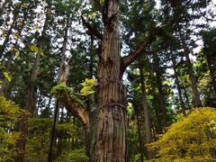 遠野の神社仏閣、御朱印集め　2日目　遠野郷から志和稲荷神社まで