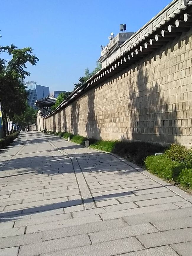 2018年の12月に初めて韓国ソウルを訪れて、感動!この後3回ソウルを訪問。いよいよこの次は念願の一人旅と思っていたら、海外はおろか国内の旅行もままならなくなりました。とりあえず、今できること、旅行記をまとめてみようと思いました。