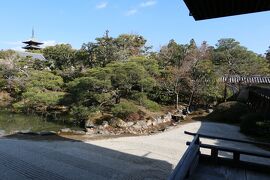 京都　優雅な冬旅♪　Vol.7 ☆仁和寺：美しい冬の庭園と寺院♪