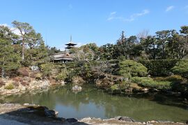 京都　優雅な冬旅♪　Vol.8 ☆仁和寺：美しい冬の庭園と寺院♪