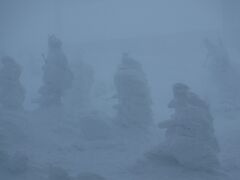 山形蔵王に樹氷(スノーモンスター）見に行ったら、ホワイトアウトだった件