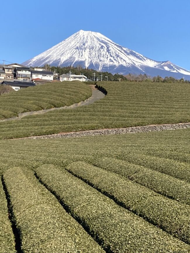 1月の富士滞在時の富士山。