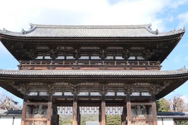 京都　優雅な冬旅♪　Vol.5 ☆仁和寺：美しい冬の庭園と寺院♪