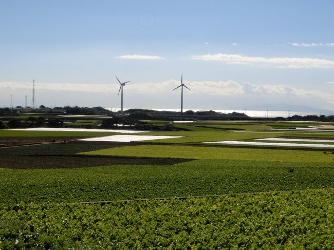 ふと思った。<br />三浦半島の大根畑を見たいって…<br /><br />そこで、思い立ったらすぐに行動。<br />「大根丘陵横断道路」というのを地図で見つけてそこに行くことにしました。