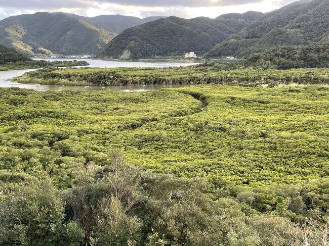 世界遺産になった奄美大島は魅力的な場所が沢山あります。2日目は午前中金作原原生林ツアー、午後からマングローブカヌーツアー、そして最大の目的の野生動物観察ナイトツアーと欲張りな1日です。