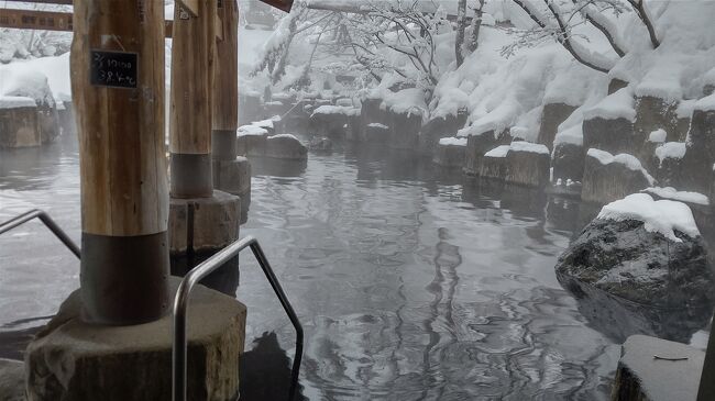 雪見できる露天風呂を体験してみたくて、みなかみ町の宝川温泉に行ってきました～！<br />近くにある宝台樹スキー場にも寄ってみましたよ！