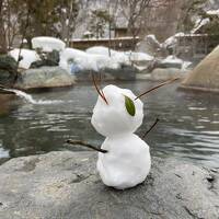 雪の露天風呂を満喫する奥飛騨温泉郷の旅(谷旅館、松宝苑）