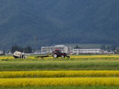 中央・大糸線の鉄道旅2021秋～南・北アルプス山岳、黄金色の里山、安曇野の風景～（山梨長野）