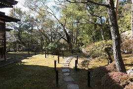 京都　優雅な冬旅♪　Vol.14 ☆仁和寺：美しい冬の庭園と寺院♪