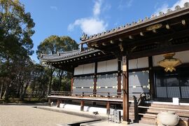 京都　優雅な冬旅♪　Vol.15 ☆仁和寺：美しい冬の庭園と寺院♪