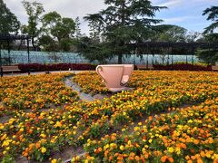 母・弟と行く秋のなばなの里～今のうちに、綺麗なお花を愛でましょう( *´艸｀)