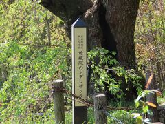 京都 井出 地蔵禅院(Jizozen-in Temple, Ide, Kyoto, Japan)