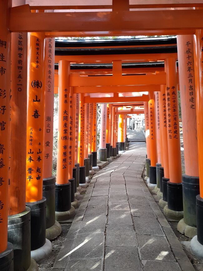 冬の京都旅①伏見稲荷大社と東福寺