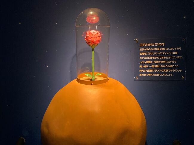 一人でぷらっと温泉に一泊<br />ついでに箱根ガラスの森美術館、星の王子さまミュージアム、箱根美術館にも…