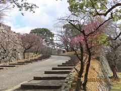 久し振りに福岡への旅②その3)福岡城跡へ