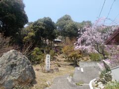 史跡とツツジと桜　蔵王憩いの森ハイキング