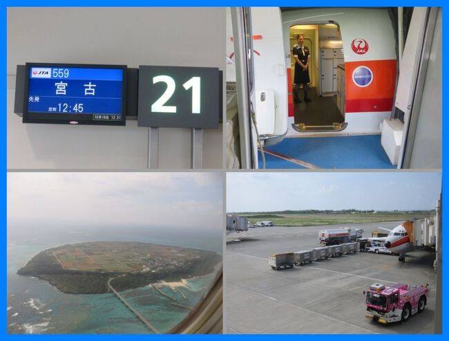 色々とあって。。。淡々と過去旅行記をＵＰしていきます。<br />★旅のアーカイブから★<br />２０１５年１０月から１１月にかけて約１か月間にわたる沖縄の旅を楽しみました。<br /><br />（その２１）<br />旅の１４日目。<br />これからおよそ２週間の先島諸島巡りに向かいます。<br />最初に那覇空港からＪＴＡ（日本トランスオーシャン航空）で宮古島へのフライト。<br />懐かしの南西航空塗装のボーイング７３７ー４００（SWALジェット）に搭乗して。<br /><br />旅行日：2015年10月3日～11月5日<br />投稿日：2022年2月12日