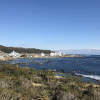 南房総早春の旅　いちご狩りと花摘み