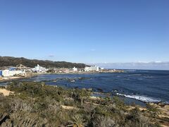 南房総早春の旅　いちご狩りと花摘み